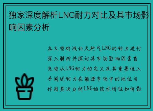 独家深度解析LNG耐力对比及其市场影响因素分析